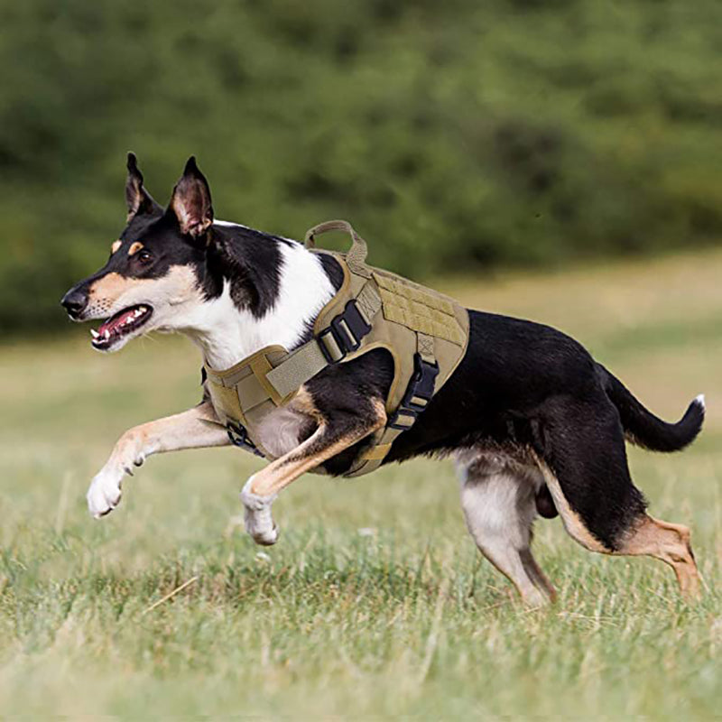 Adjustable German Shepherd Tactical Dog Harness Vest With Handle
